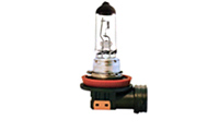 H8 Halogen Lamps